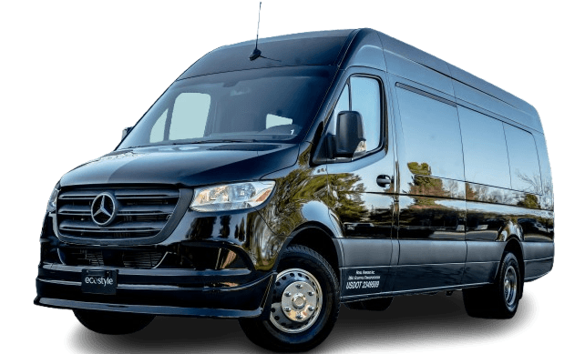 Luxe Executive Sprinter